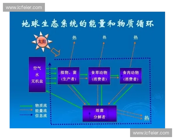 体育生态系统构建与可持续发展路径创新研究探索